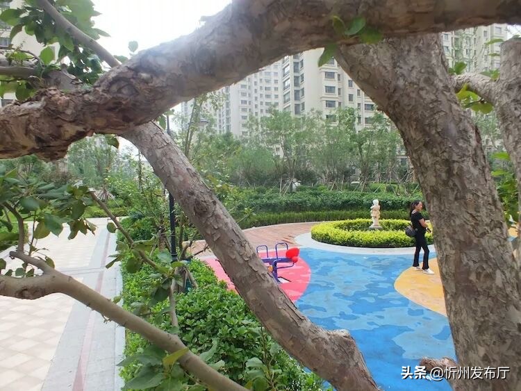 忻州国力花园二期在哪个位置,忻州国力花园五期和国力新城二期