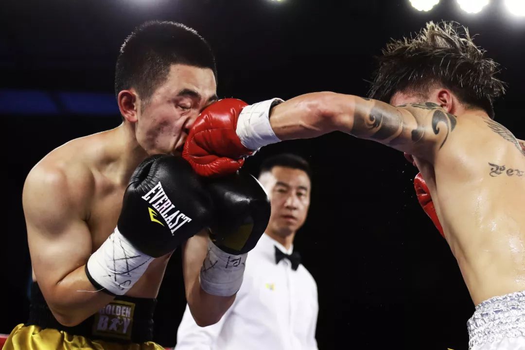 中国台北小将,中国台北小将最新视频