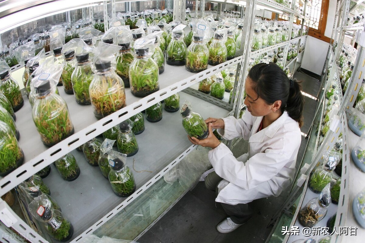 未来养殖业的商机和发展趋势,未来5年畜牧养殖业发展的10大机会