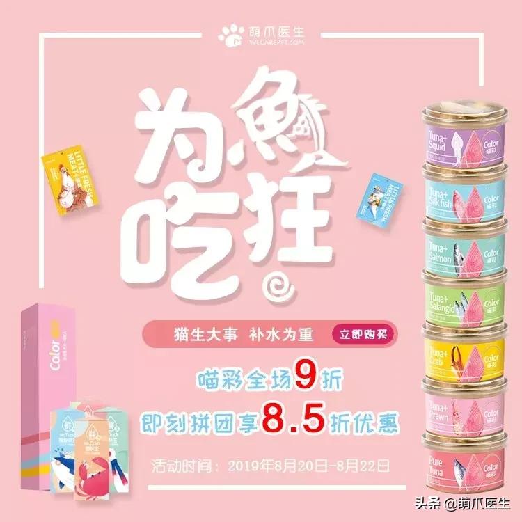 如何促使猫咪喝水,猫咪喜欢喝水吗