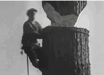 身家过亿进此吧,半月之后睡街头