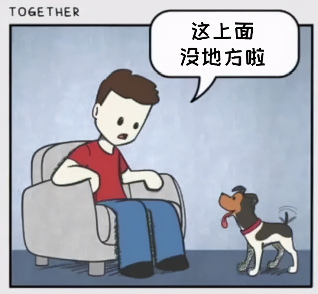 铲屎官和狗子的漫画,铲屎官和狗子们漫画