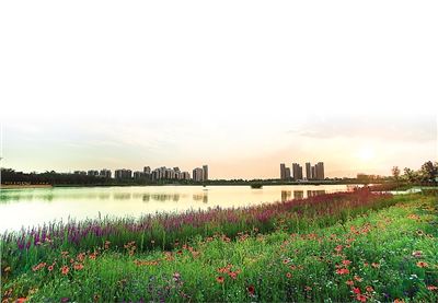 金凤城市中心核心区范围,金凤区新城片区发展