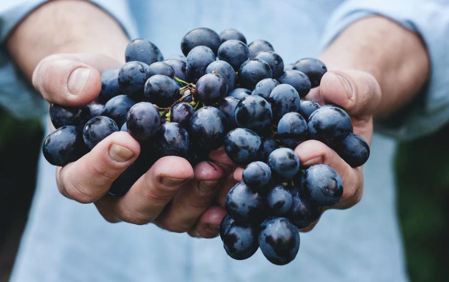 开水果店摆放水果图,开水果店哪些水果不能摆放一起