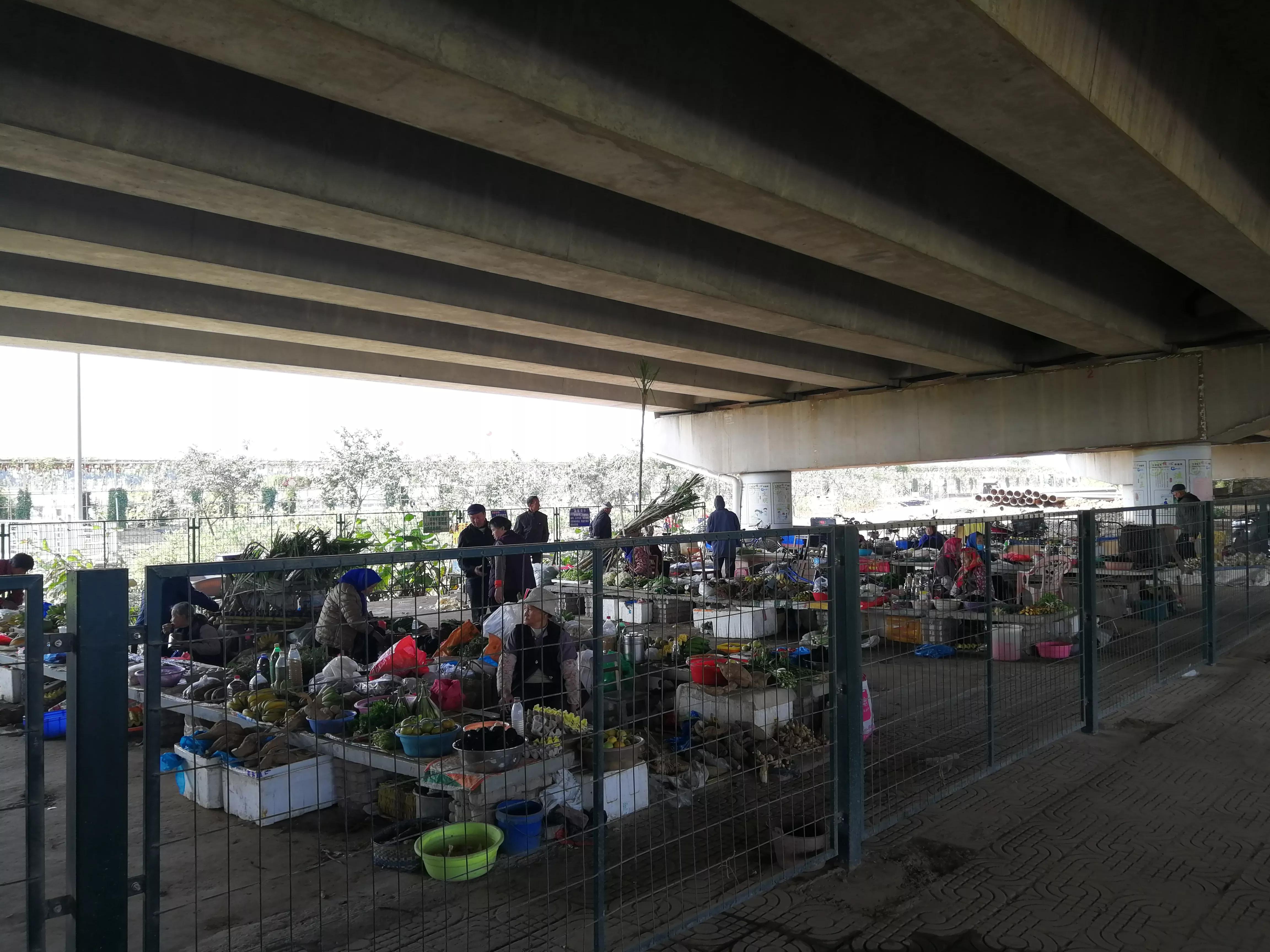 地铁4号线美丽乡村东涌,地铁4号线沿路风景