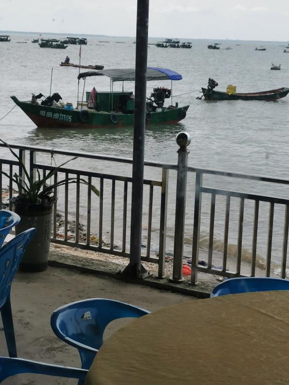 廉江龙营钓鱼视频,湛江市遂溪草潭码头钓鱼视频