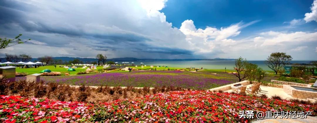 房价暴涨的昆明，重庆人居然不肯走，反而买下“第二居所”