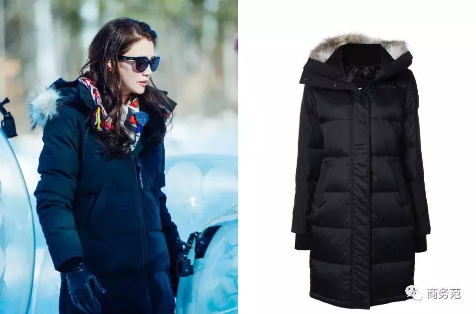 袁咏仪戴劳力士,袁咏仪卡地亚珠宝图