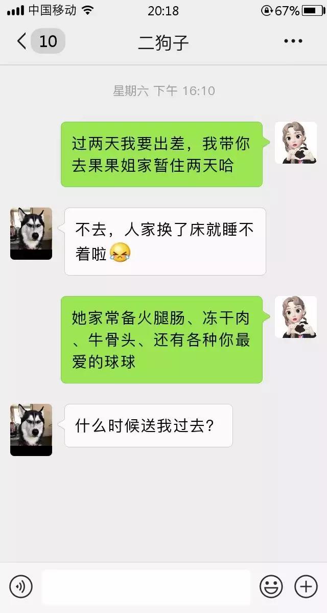 跟我家猫发微信，就像跟渣男在聊天