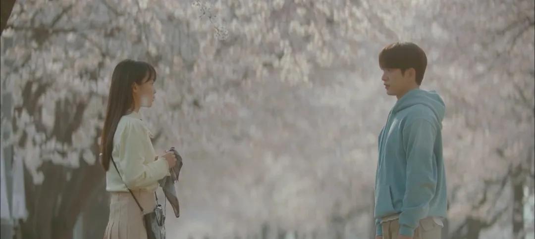 豆瓣9.3分结局,旧情复燃豆瓣