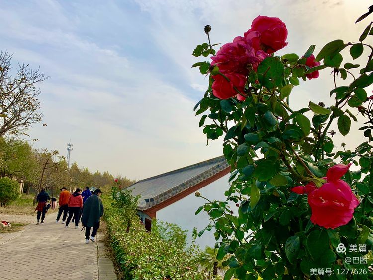 洛阳市宜阳凤凰岭射箭,宜阳县凤凰岭体育基地