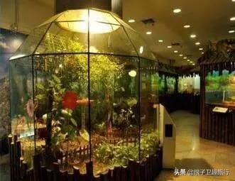 上海法租界十大必去景点图片,2022上海亲子游必去的14个景点