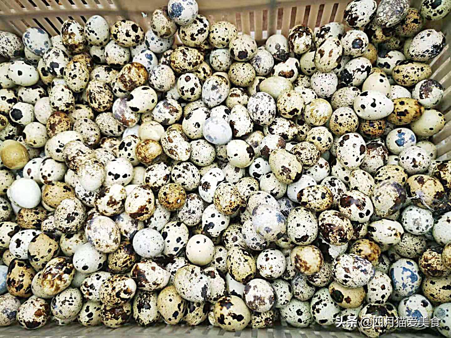 鹌鹑蛋的21种做法,鹌鹑蛋的12种做法大全