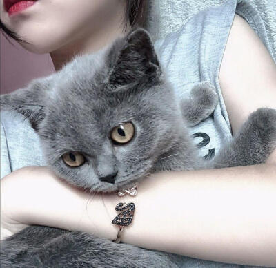 怎样才能判断出猫咪的性格,猫咪七个月性格会发生变化吗