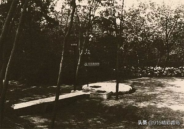 为啥说青岛的崂山区是富人区,崂山在青岛什么地位