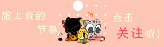 新手养猫,必备清单|拒交智商税