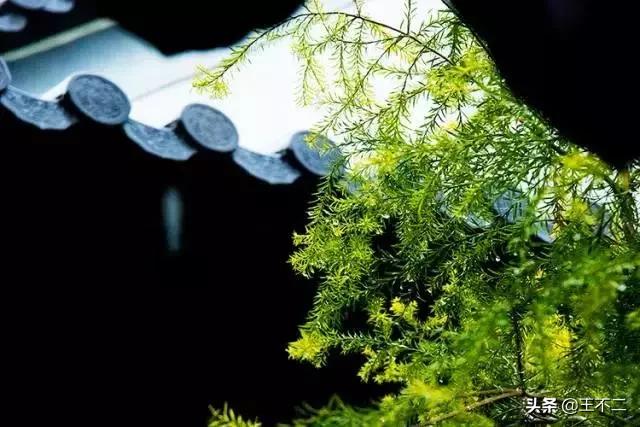 远赴人间盛宴谈笑风生不动情,远赴人间惊鸿宴谈笑风生不动情