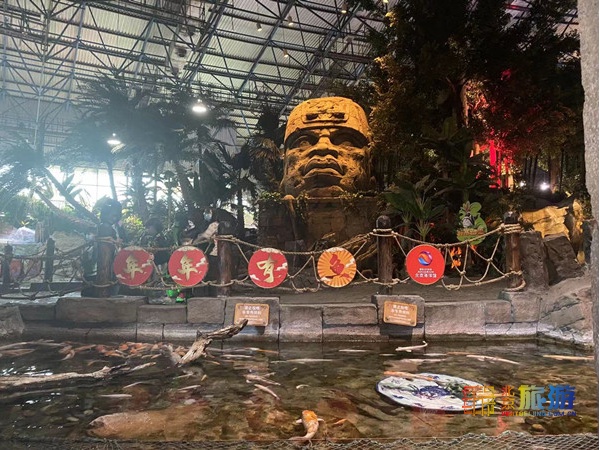 北京动物园海洋馆锦鲤,北京海洋馆锦鲤