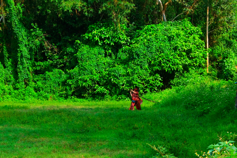 广东湛江旅游攻略赶海,湛江海边旅游攻略推荐地方