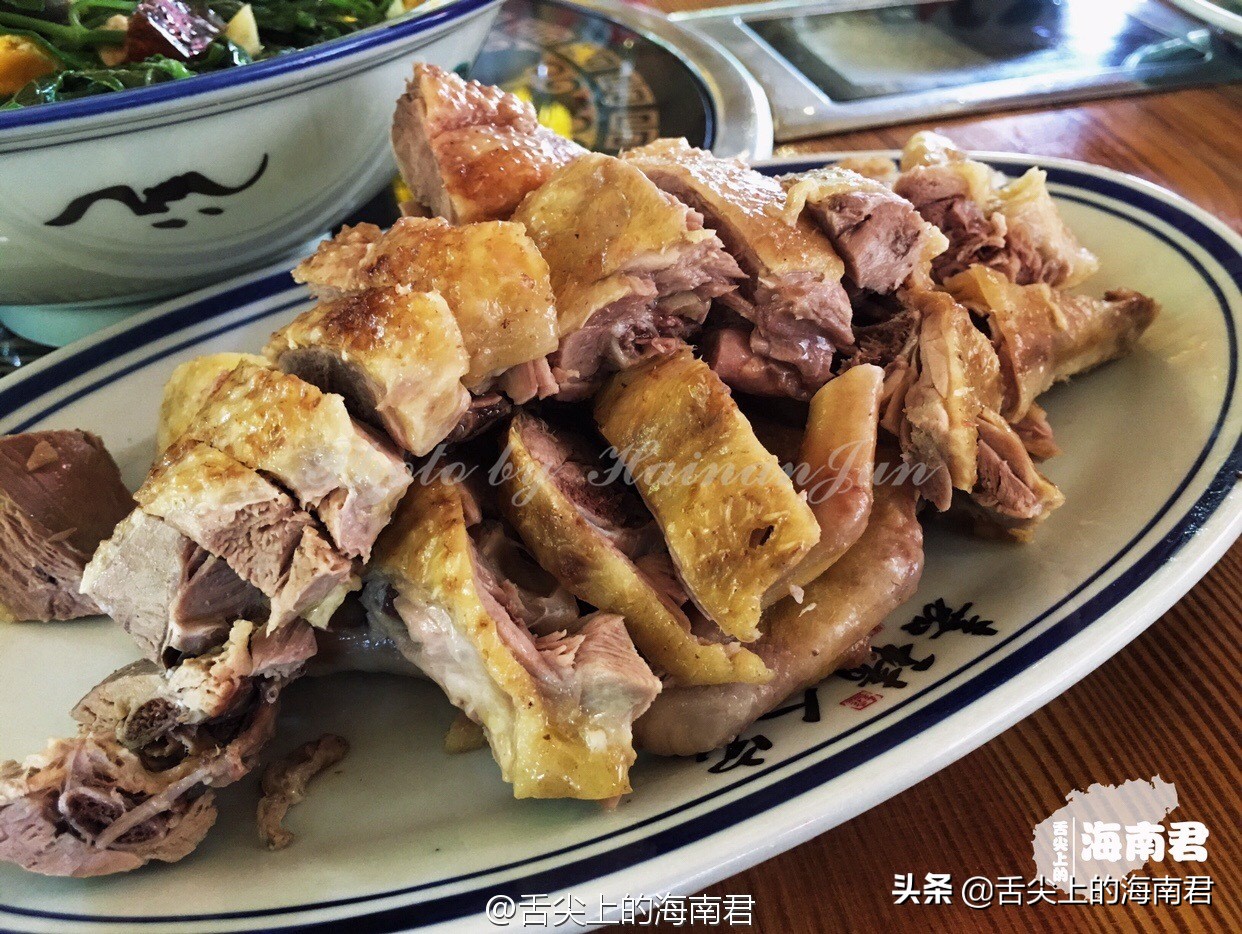 海南去了一次不想去第二次,海南琼海可以旅游的地方推荐