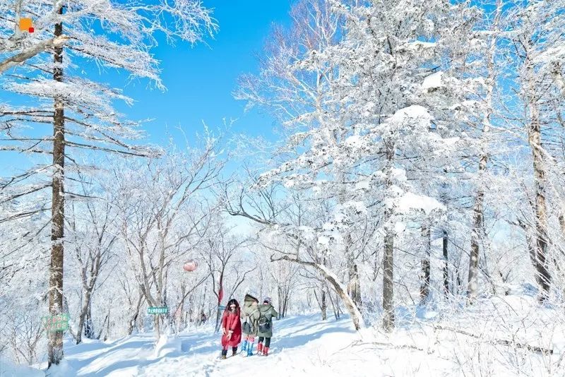 2016雪乡冰雪马拉松暨徒步穿越赛,2019长春全国冰雪徒步大会