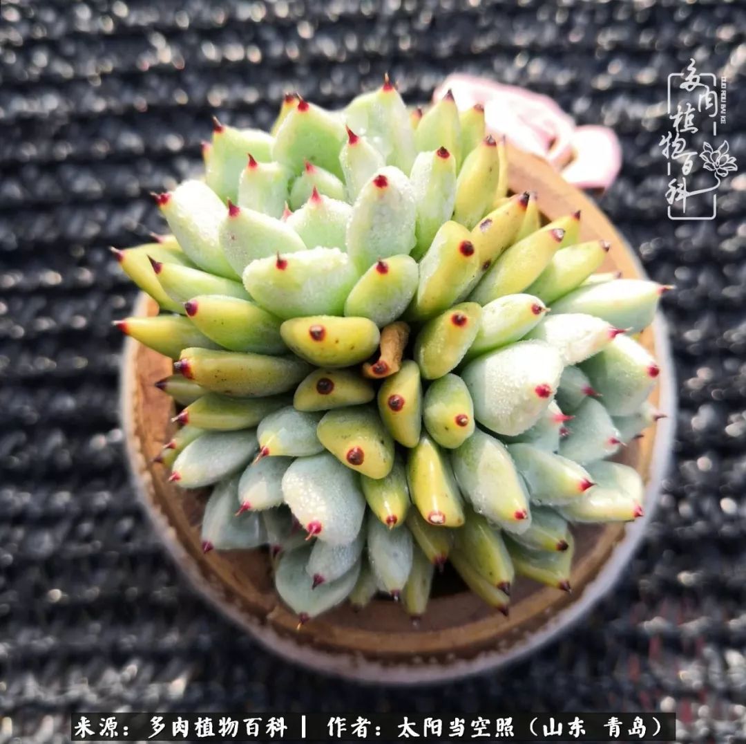 离家在外才发现最难忘的是故乡情,离家在外看见家乡的东西