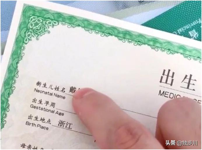 名字随意,随意的名字