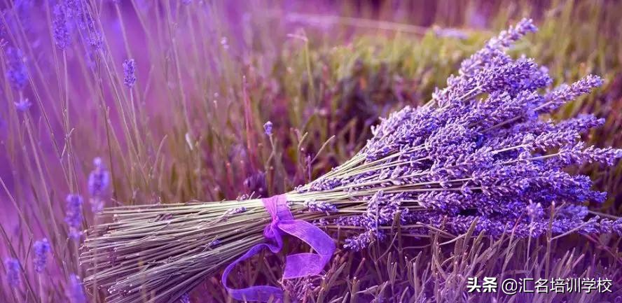 花艺十六种手法,流行花艺简单教学