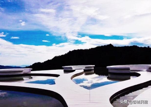 民宿鉴赏系列——雲中花嶺，花在云端，杜鹃花酒店