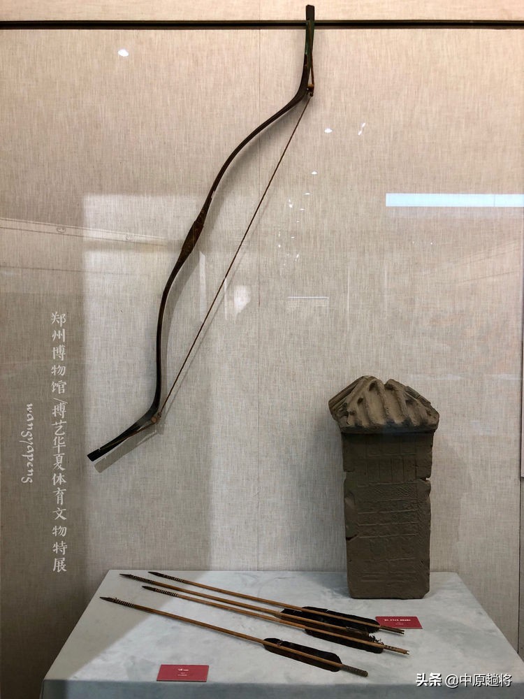 古代的体育运动你知道多少？郑州博物馆看华夏体育*物文**特展