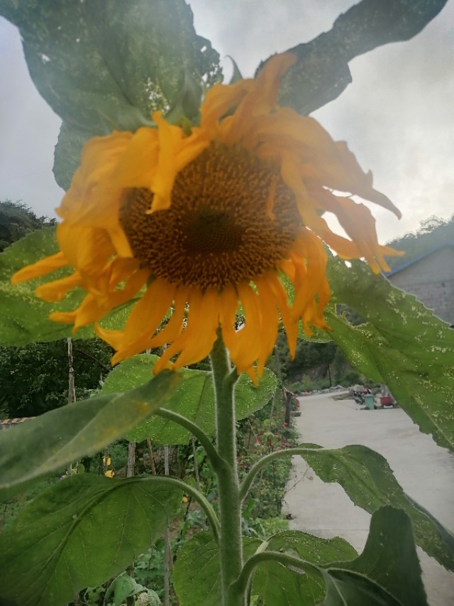 双代员是我人生的起点