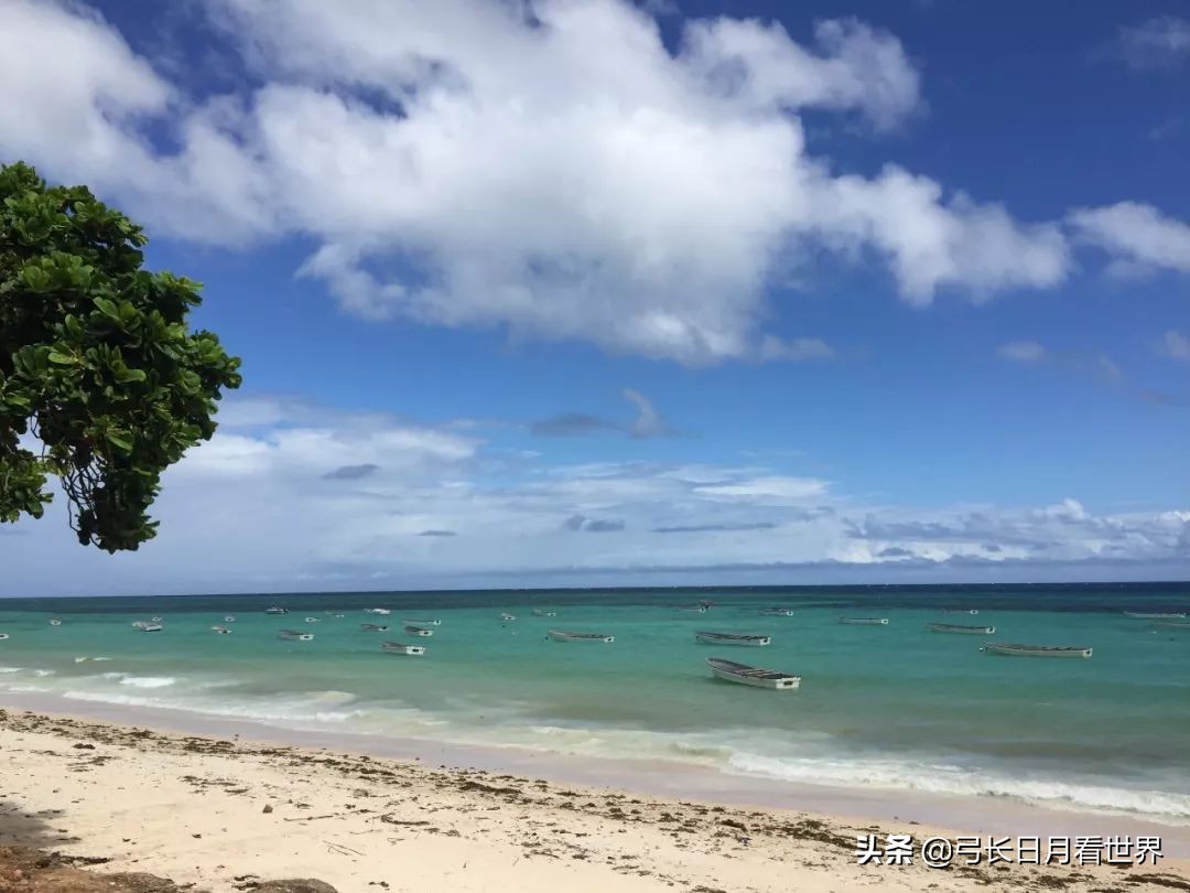 还没走完非洲，我就好羡慕那些旅行代购的