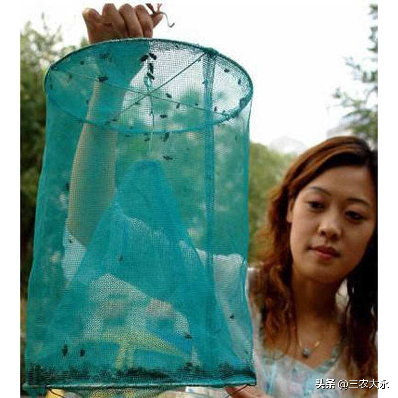 养殖场用什么消灭苍蝇最好,养殖场苍蝇怎么消灭最有效