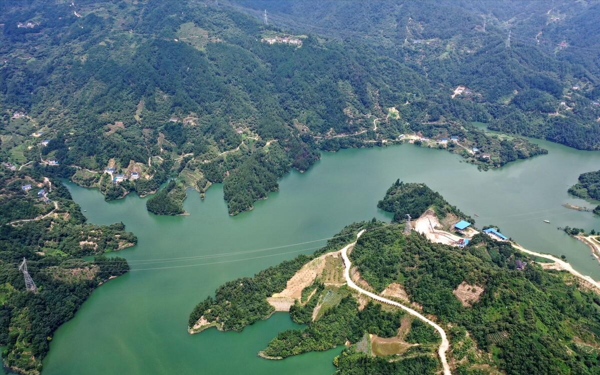 10℃是防线!非洲鲫鱼侵入三峡水库,6个月可繁殖1代,会泛滥吗?