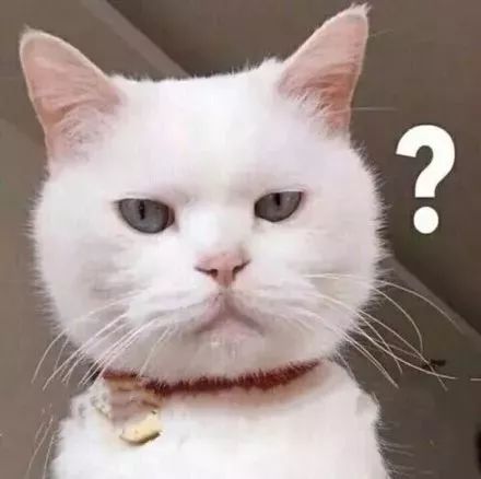 猫咪身上寄生虫怎么处理,猫咪身上的寄生虫怎么处理