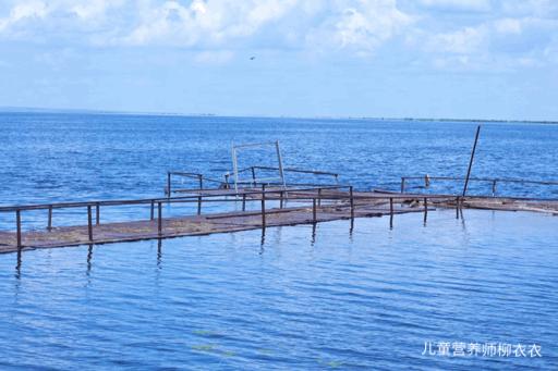 暑假带孩子内蒙古旅游攻略,暑期内蒙古亲子游鄂尔多斯