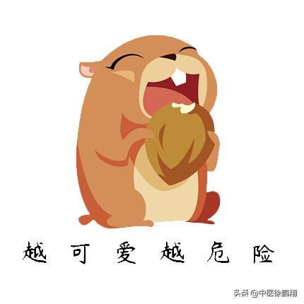 鼠疫最新事件新闻科普,鼠疫科普