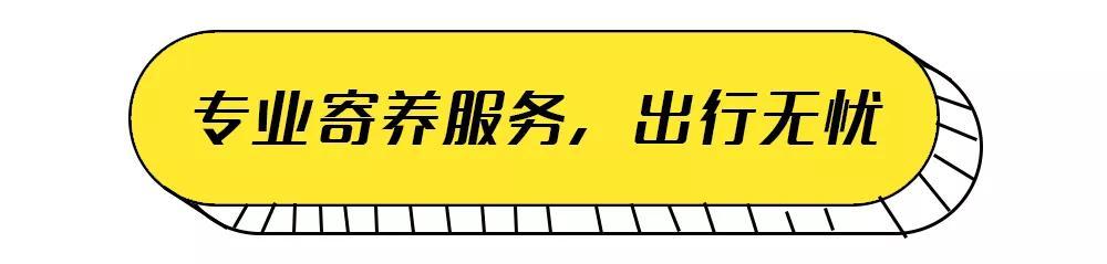 最好的宠物乐园在哪儿,19.9元宠物乐园