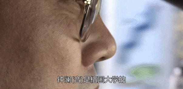 1995年韩国三丰百货倒塌事故,韩国三丰百货的崩塌事件