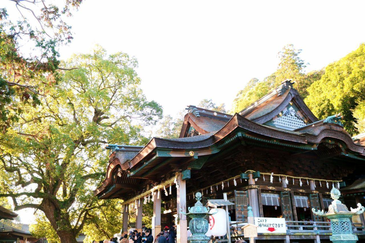 日本高松自由行,日本花火大会自由行攻略