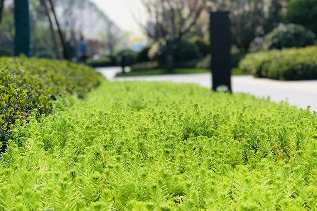 走在春天里简谱,歌曲走在春天里