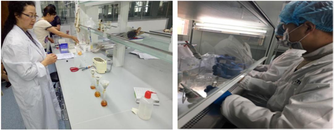 坚护蓝天碧水，高擎生命尊严：甘肃林业职业技术学院环境工程学院