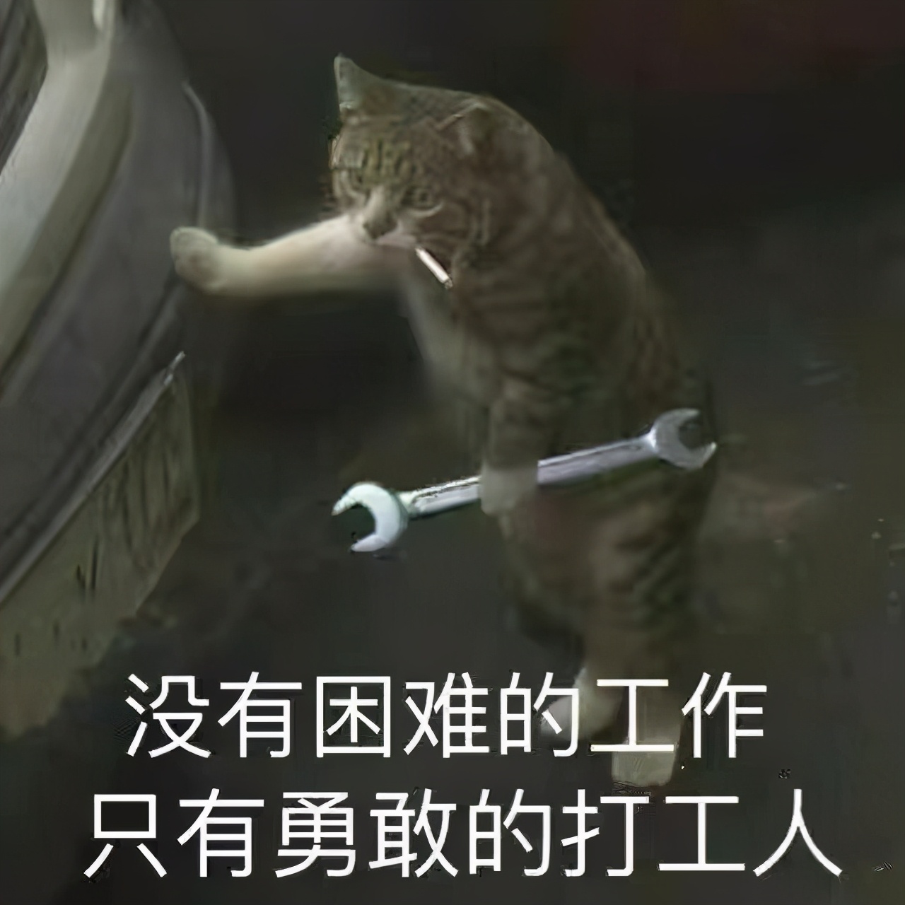 索哥侃经典,索哥聊电影