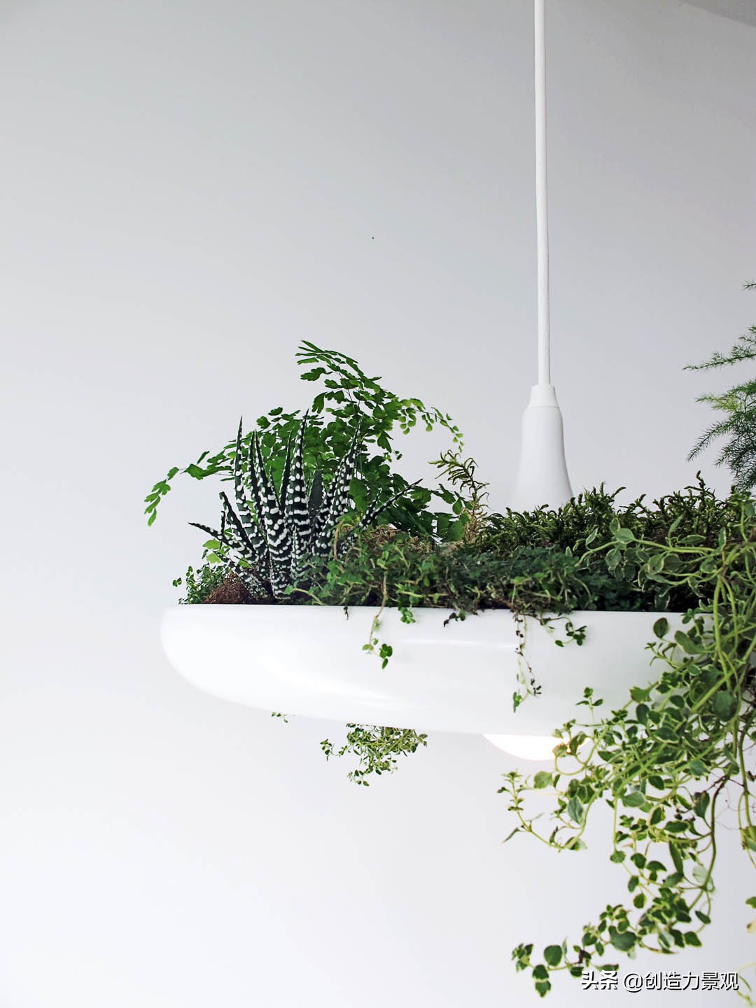 十大创意灯具排名,20个极简风格灯具