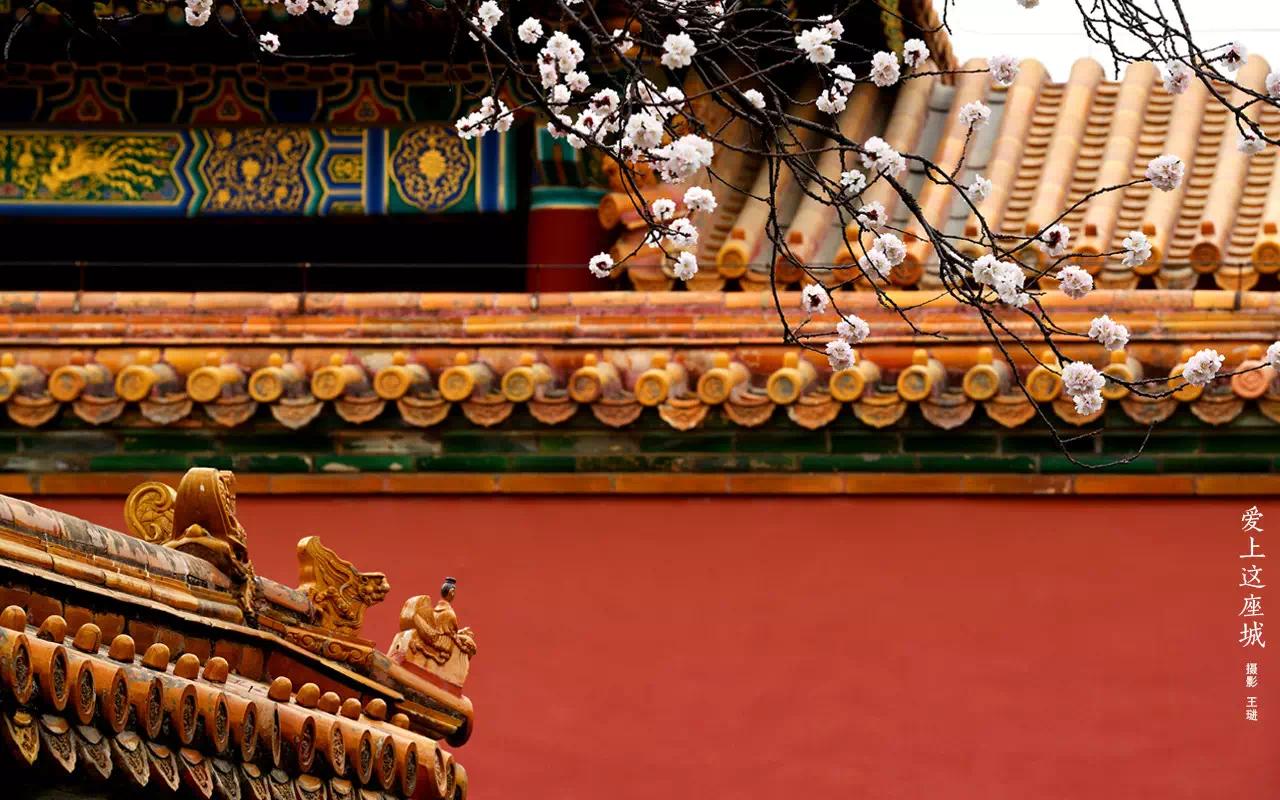 故宫是如何成为600岁的网红,故宫如何成为超级ip