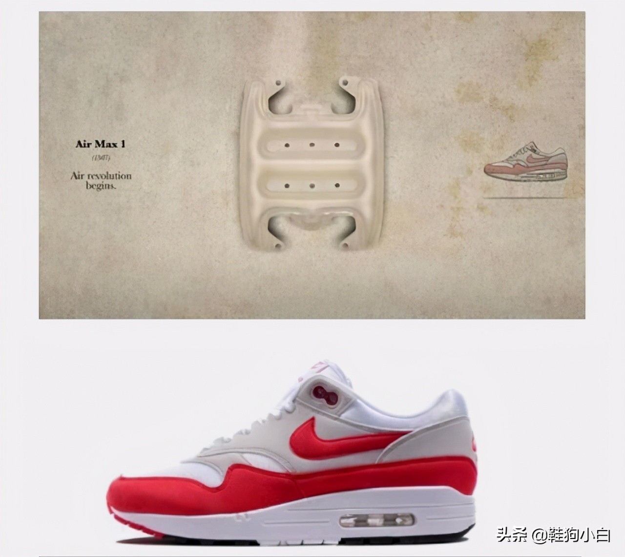 科普向动画特点,nike气垫科普