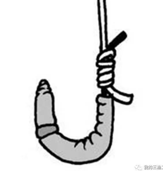 蚯蚓钓鱼挂头还是尾,挂蚯蚓钓鱼绝密配方