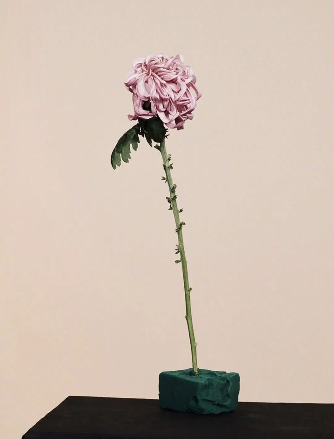 花事未了|15款绝美花器，把春天带回家～