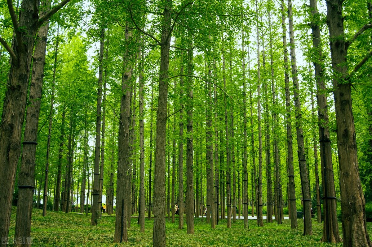 我教育孩子已经完败了，但我还要继续溺爱他