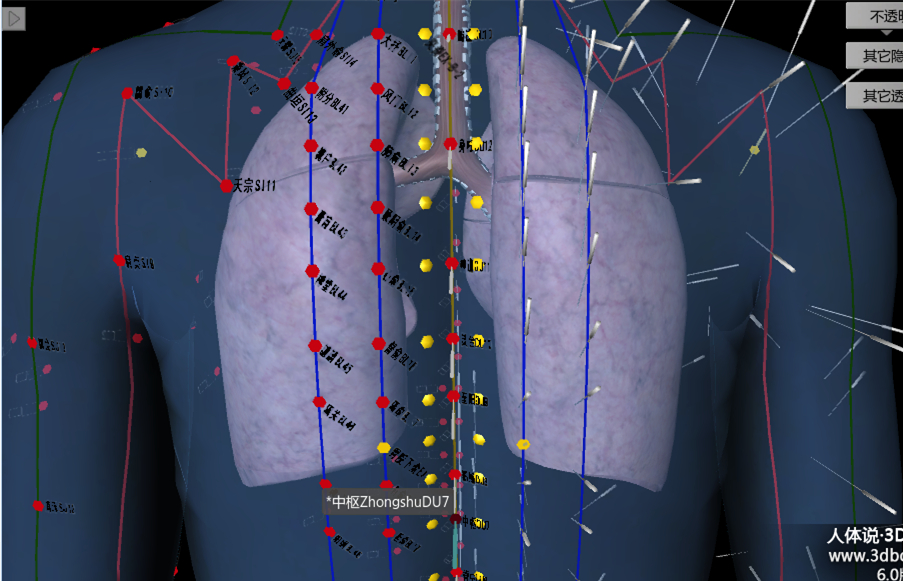 针灸肩井穴一般多深会导致气胸,针灸气胸紧急处理
